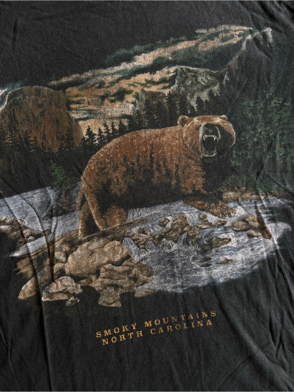 Abercrombie & Fitch Black Smoky Mountains Bear Graphic Tee - Picture 2 of 3